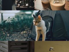 -灶咖KITCHEN