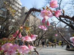 -上野公园花园稻荷神社(忍岡稲荷神社)
