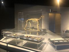 -北京周口店北京人遗址博物馆