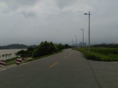-鹤之洲湿地公园