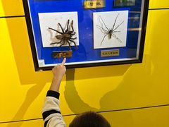 -上海昆虫博物馆