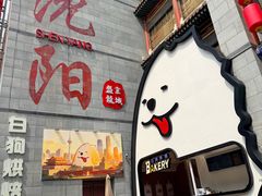 -中街·盛京龙城