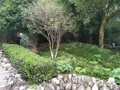 -三江森林温泉度假区