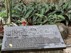 -广州市白云山风景名胜区