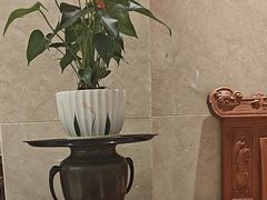 -程新大酒店(常州龙虎塘店)