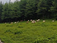 -红崖峡谷景区