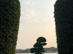 -泰谷酒店·太古码头闽菜自助餐厅