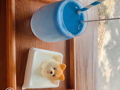 -柴犬高等学院·狗咖·柴犬售卖·宠物训练