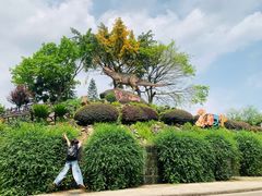 -自贡恐龙博物馆