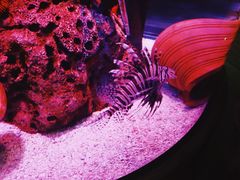 -沈阳海洋探索中心