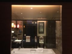 -河源万绿湖美思威尔顿酒店