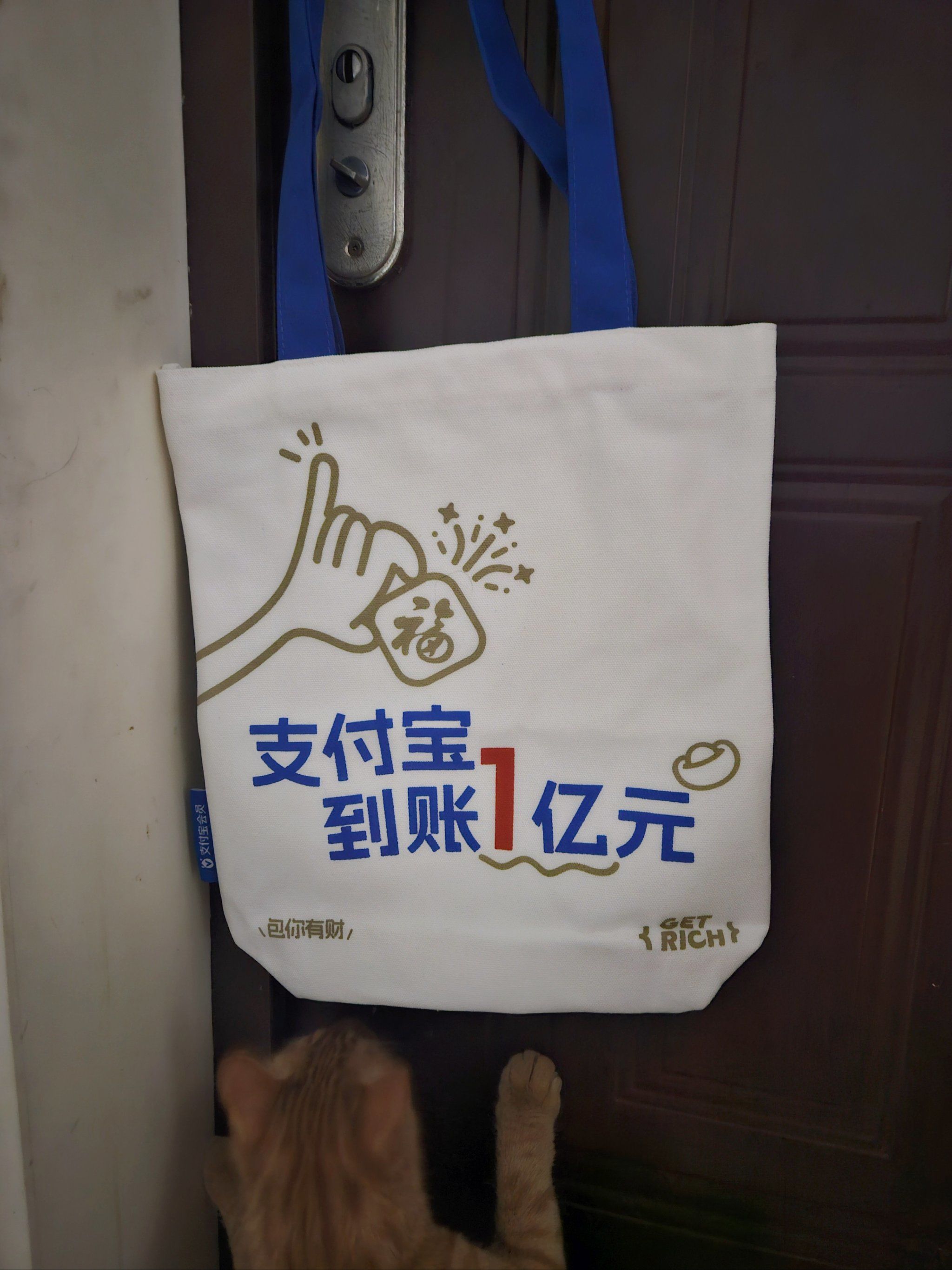 支付宝到账1亿元!