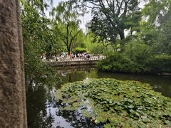 -环城公园