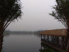 -枫香湖儿童公园