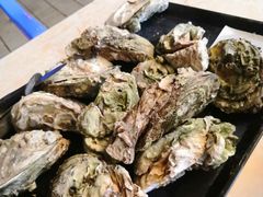 -大富蚝乌东哥饭店·石锅鱼杂·柠檬鸭(革新路店)