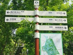 -东郊湿地公园