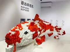 -武汉光谷K11