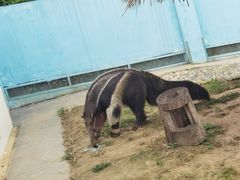 -无锡动物园·太湖欢乐园