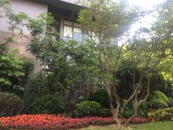 -心俞普拉提运动