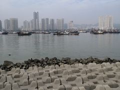 -野狸岛