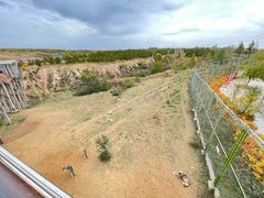 -鄂尔多斯野生动物园