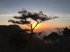 -泰山风景名胜区