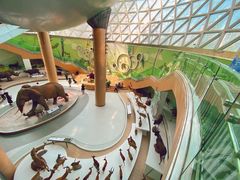 -陕西自然博物馆