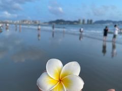 -香香海南菜餐厅