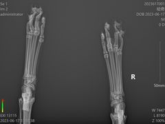 -艾贝尔宠物诊疗