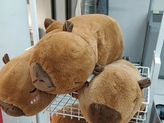 -BIGOFFS超级折扣(中街星汇广场店)