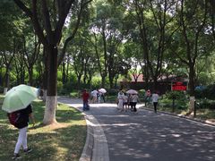 -昆山城市生态森林公园