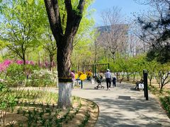 -大兴滨河森林公园