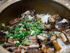 -红星光发煲仔饭(文海店)