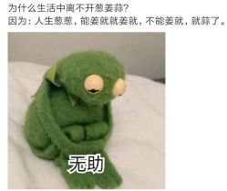 -晶奕空间专业脱毛连锁机构
