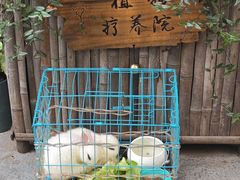 -懒人盐府人家(安贞店)