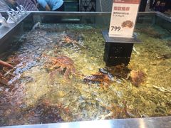 帝王蟹-盒马鲜生(宝地店)