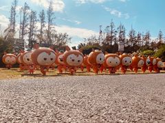 -上海长兴岛郊野公园