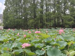 -黄兴公园