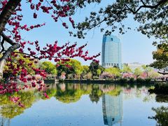 -无锡蠡湖国家湿地公园-蠡园