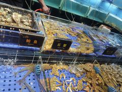 -九月海·海鲜自助(世纪东方店)