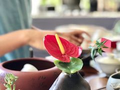 -厦门园林植物园-植物园滴水山房