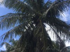 -日军最后司令部遗址