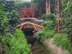 -呀路古热带植物园