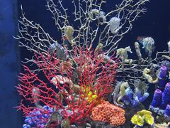 -成都浩海立方海洋公园