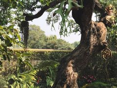 -Chom Cafe and Restaurant