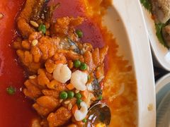 -望乡楼上海菜(日月光店)