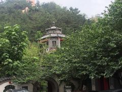 -老张烤羊(王哥庄店)