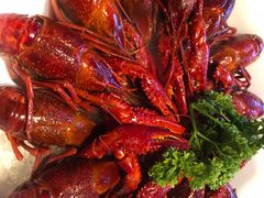 冰镇小龙虾-沪小胖小龙虾(淮海中路旗舰店)