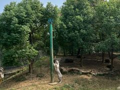 -常州淹城野生动物世界
