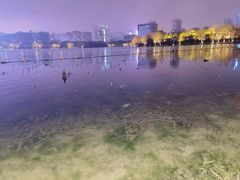 -天鹅湖体育公园